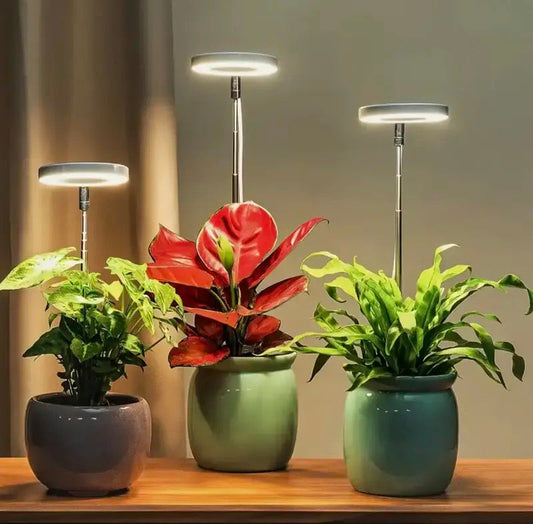 Full Spectrum Plantverlichting