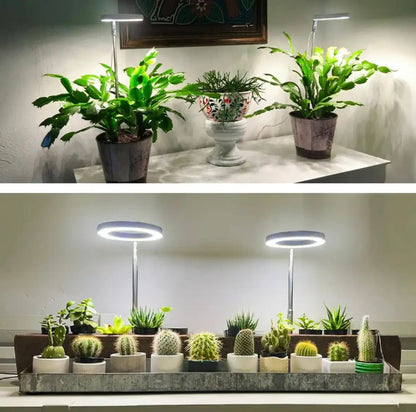Full Spectrum Plantverlichting