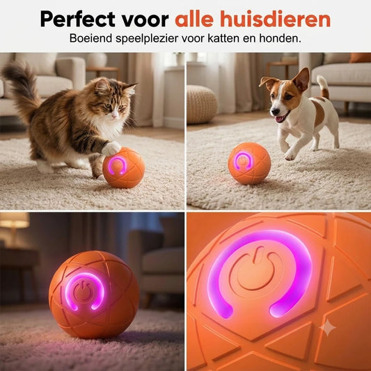 Automatische Stuiterbal voor Huisdieren