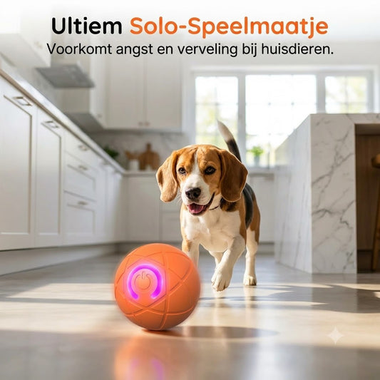 Automatische Stuiterbal voor Huisdieren