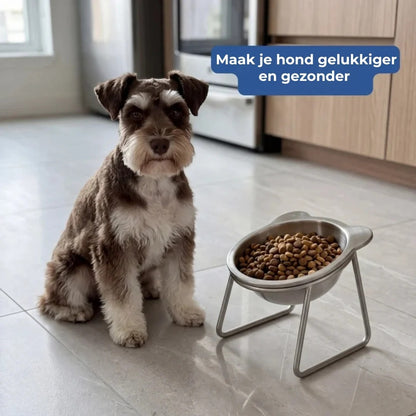 Ergonomische verhoogde voerbak voor huisdieren